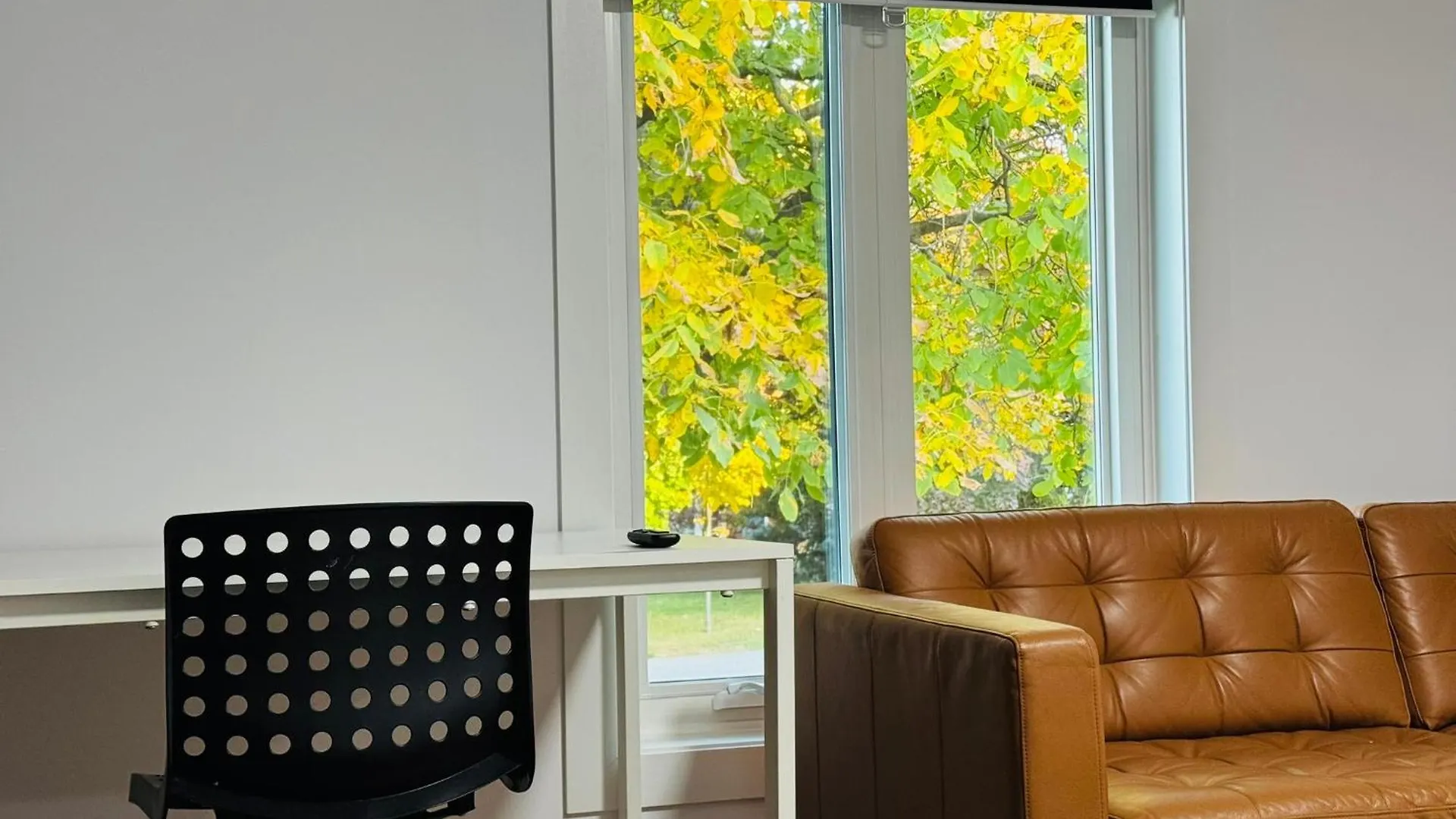 Appartamento Entire Unit Airport Free Pkg Sep Entrance Newreno Toronto