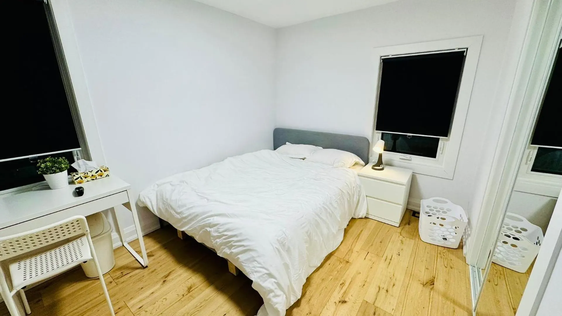 Entire Unit Airport Free Pkg Sep Entrance Newreno Apartment Toronto